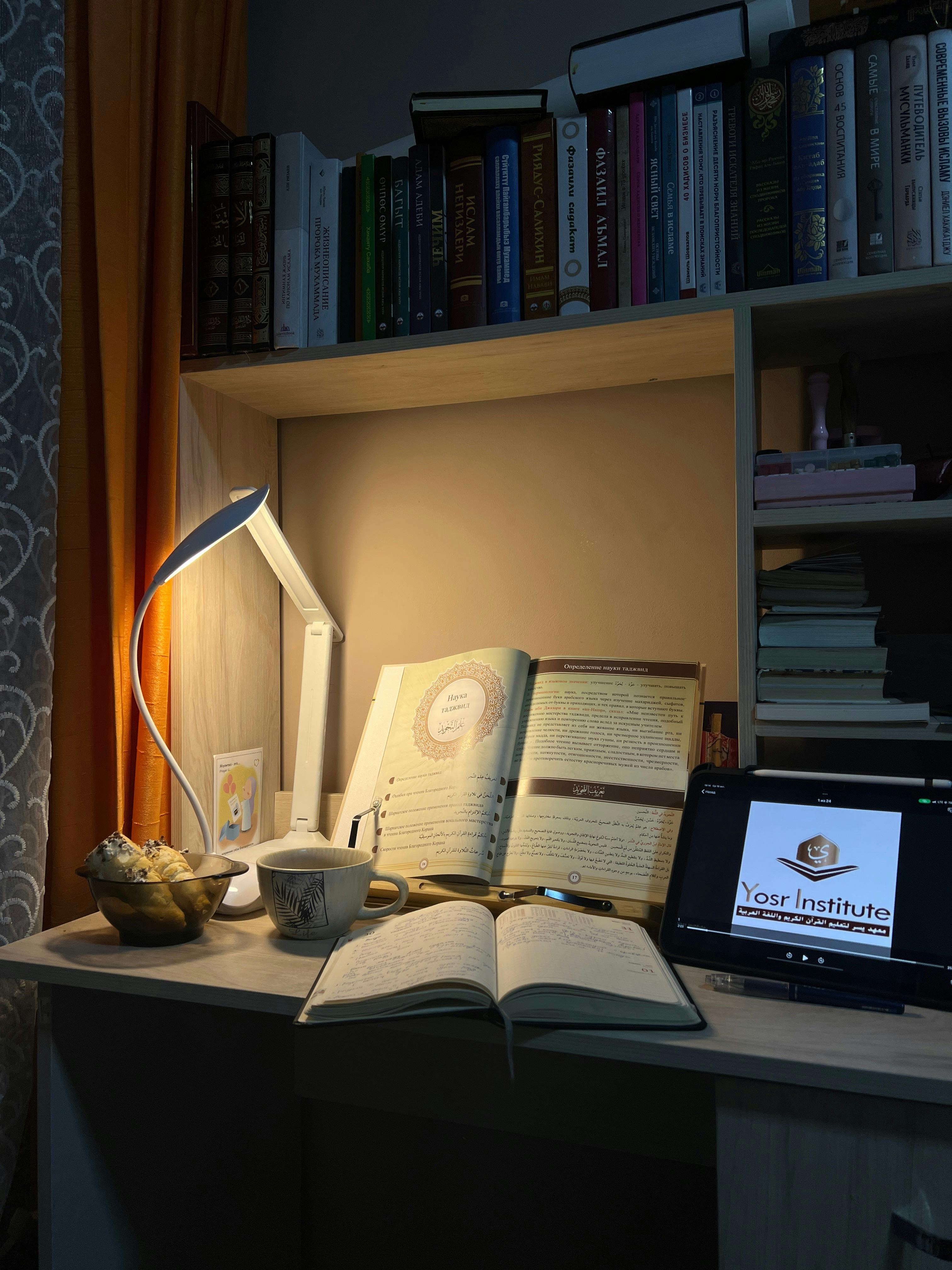 Cozy reading setup